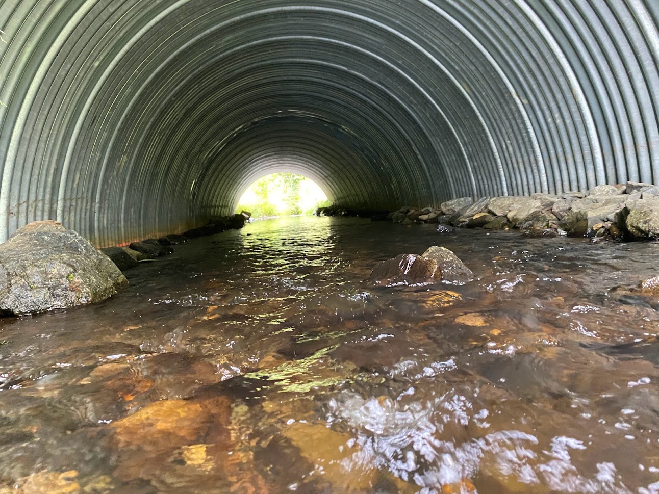 Water flowing through a culvert with a tunnel