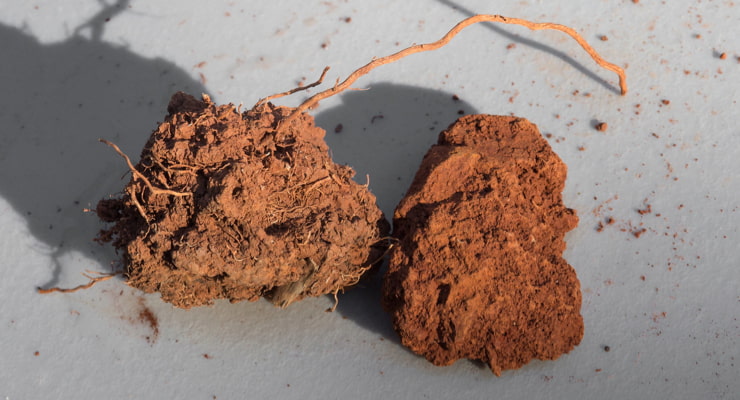 "A photo of two chunks of soil; healthy soil on the right with organic matter, and nutrient-depleted soil on the right"