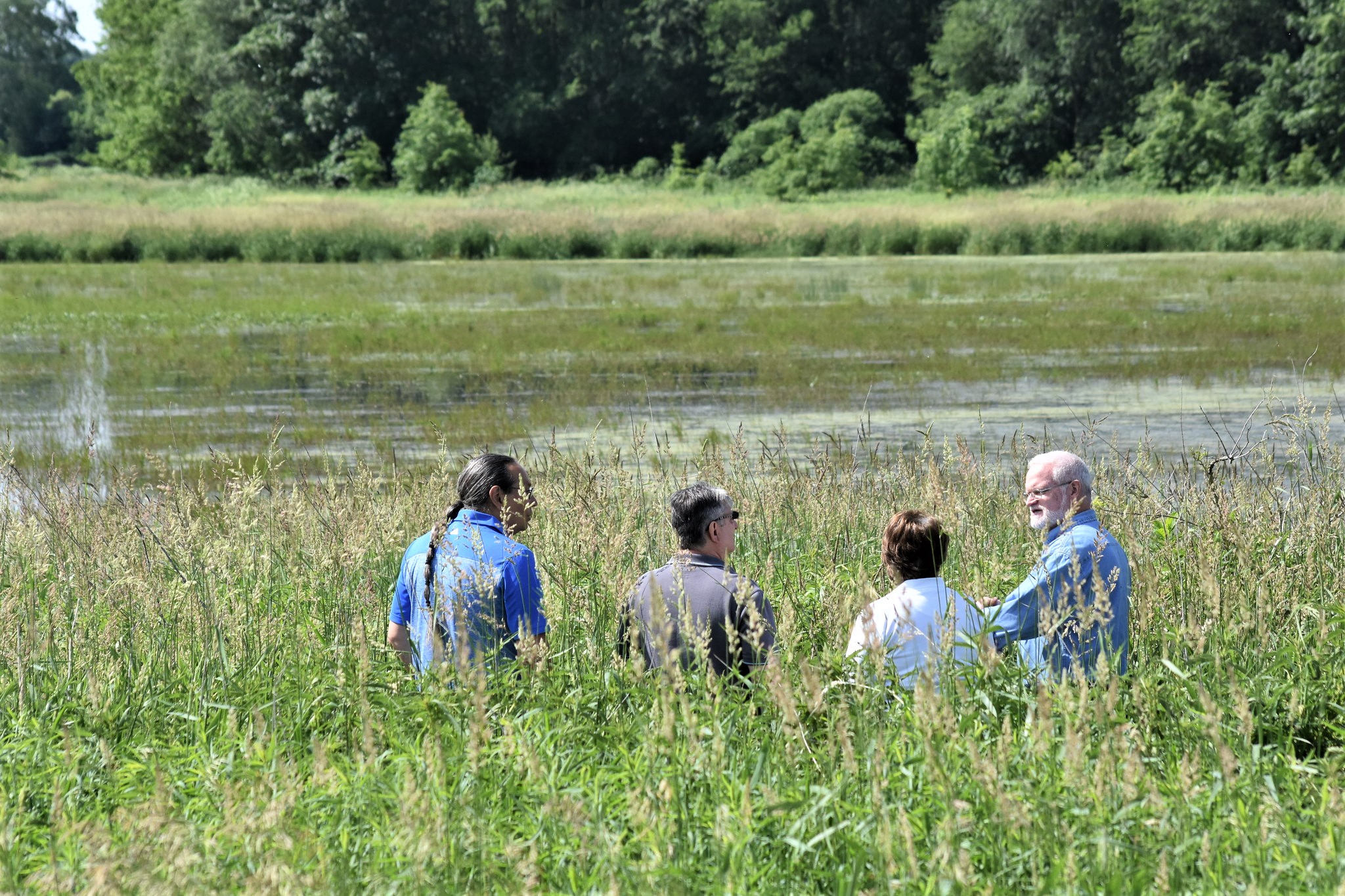 Four people standing in a field near a pond