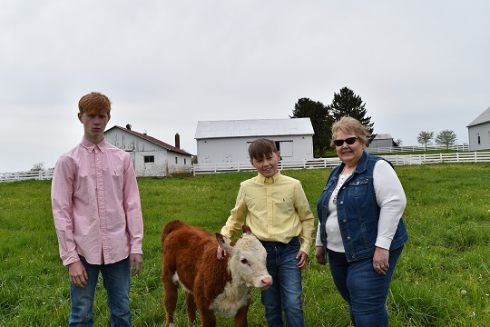 Three people standing with a calf