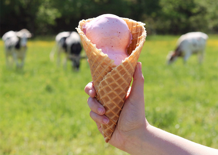 Hand holding an ice cream cone