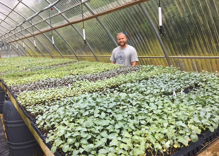 Seedling crops growing in greenhouse