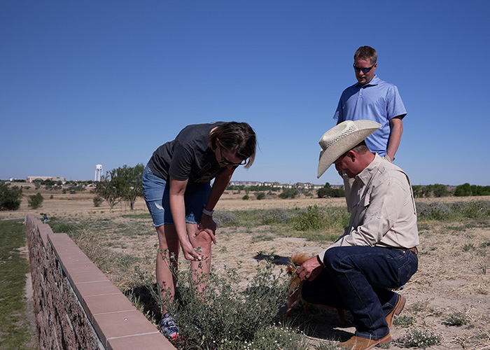 Three people examining plant