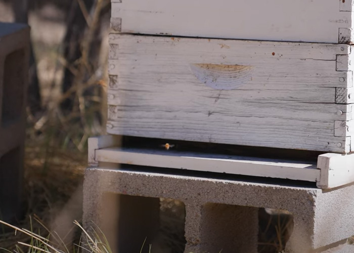 A wooden beehive