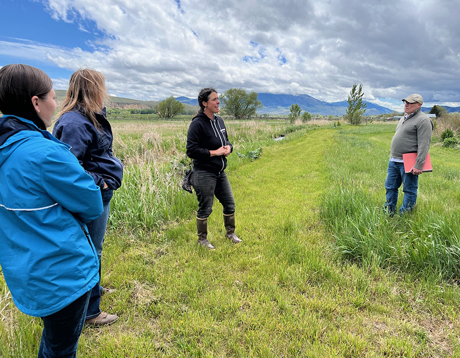 Four people standing in field while talking