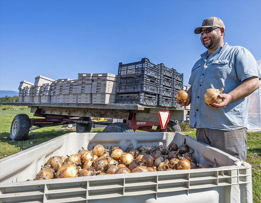 Person standing over a crate of onions