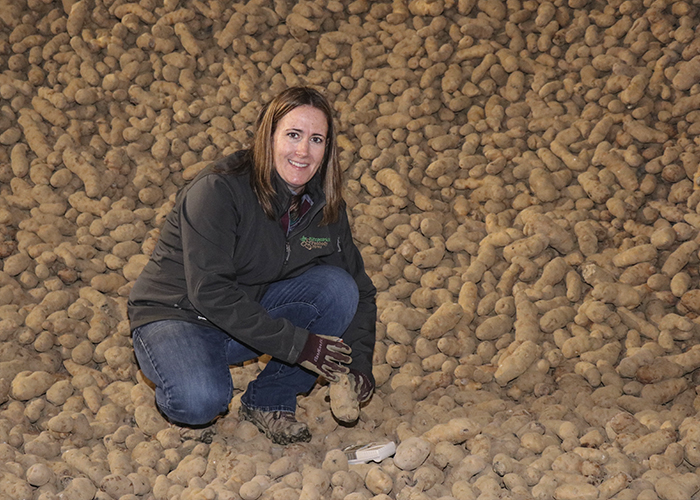 Person sitting amongst potatoes in storage