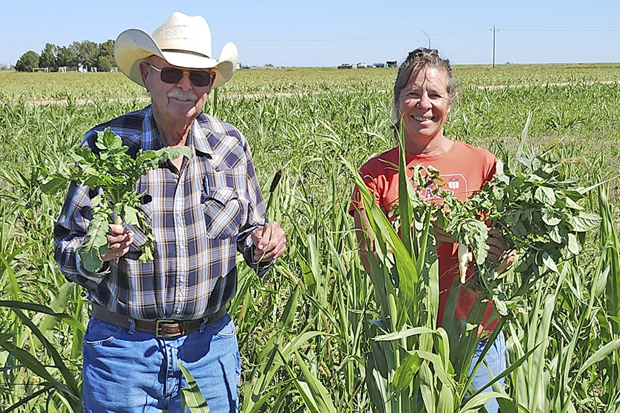 Two people in a field