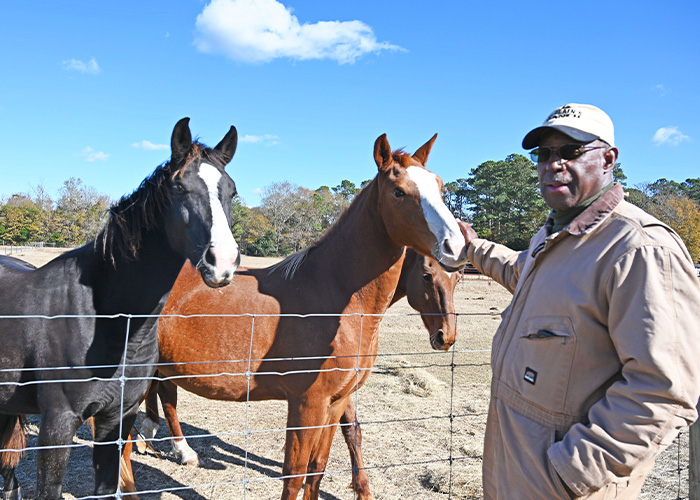 Person standing next to two horses