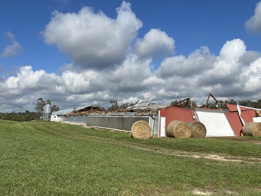 Collapsed barn