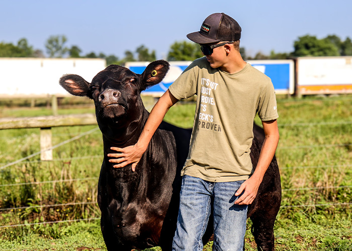 Person petting cows