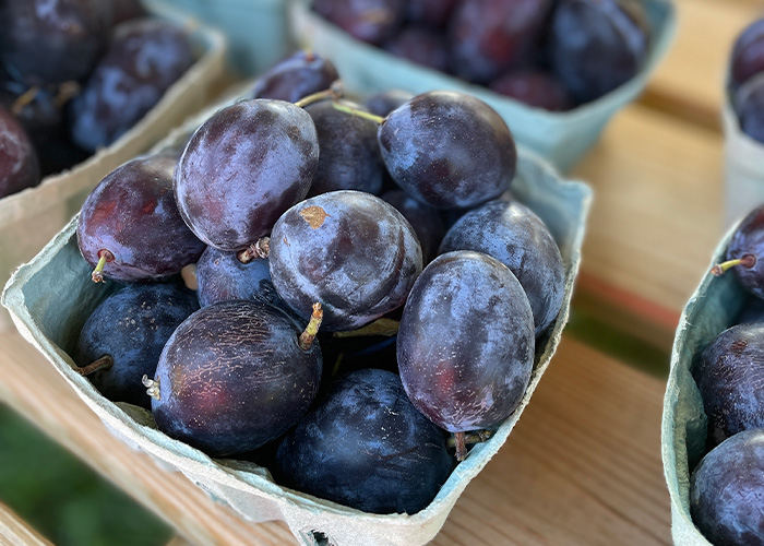 Blueberries in a basket on a shelf