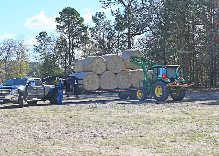 Tractor loading hay bales onto trailer