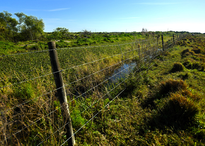 Barbed wire fence