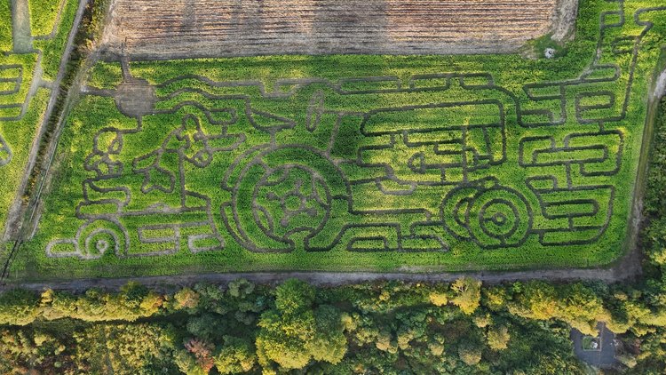 Aerial view of a corn maze