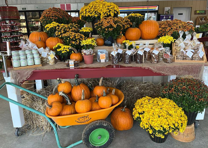 Pumpkins and Fall flowers on a display table