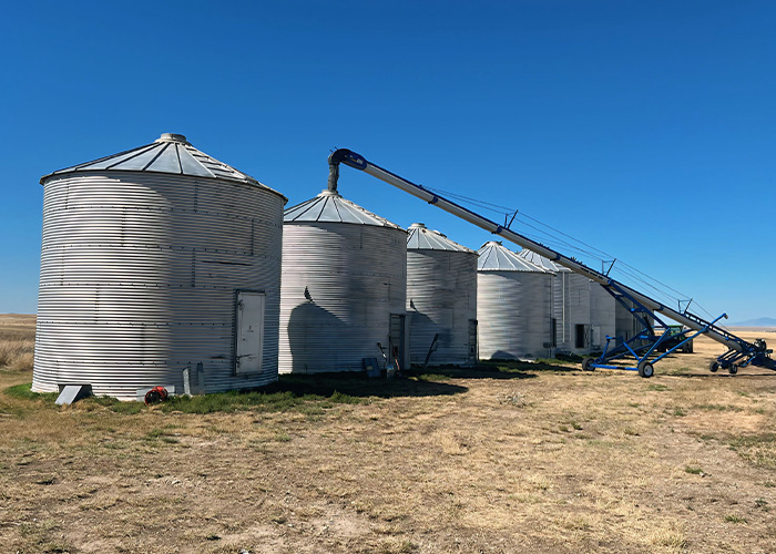 Silos in field