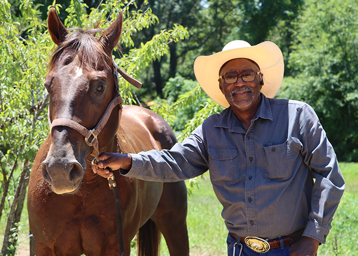 Person standing next to horse