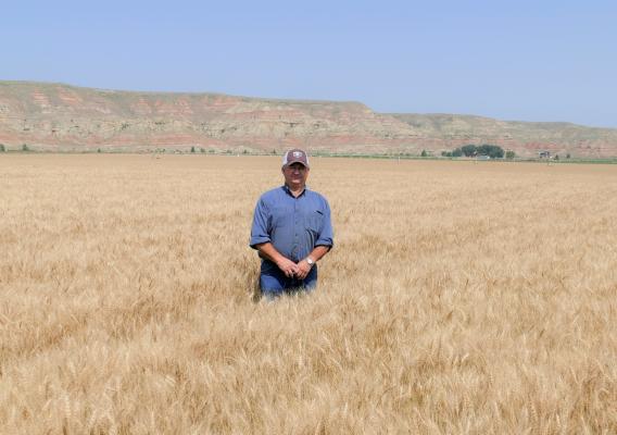 Bill Schlenker stands in a field on his farm