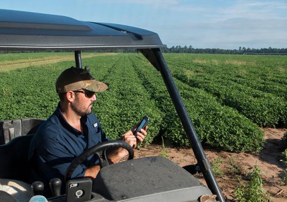  A Georgia peanut farmer using his smartphone to monitor his crop’s water needs.