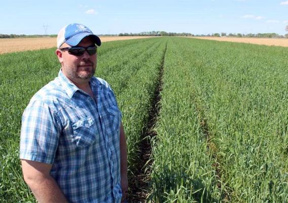 Noah Seim’s rye cover crop helped serve as a kind of “ark,” protecting his field during the heavy flooding in Nebraska this year.