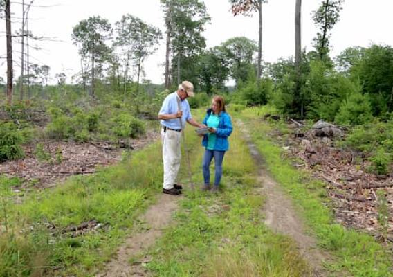 Bill and an NRCS conservationist walk on his private forest