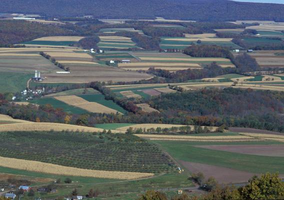 Aerial view of a farm landscape