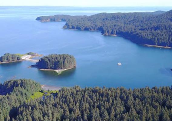 aerial view of lake