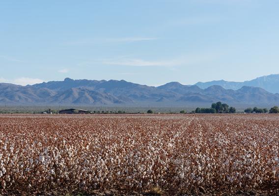 Farm land