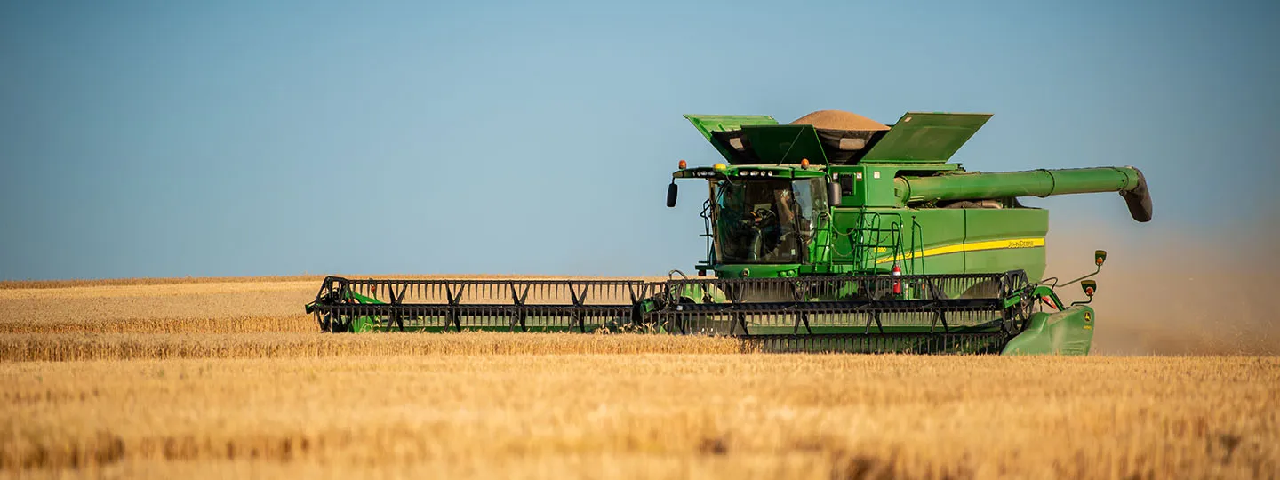 Harvesting wheat