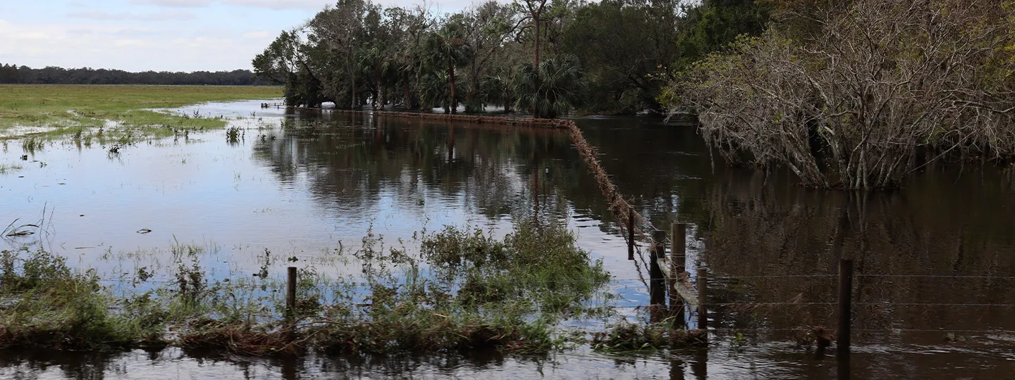 hurricane damage