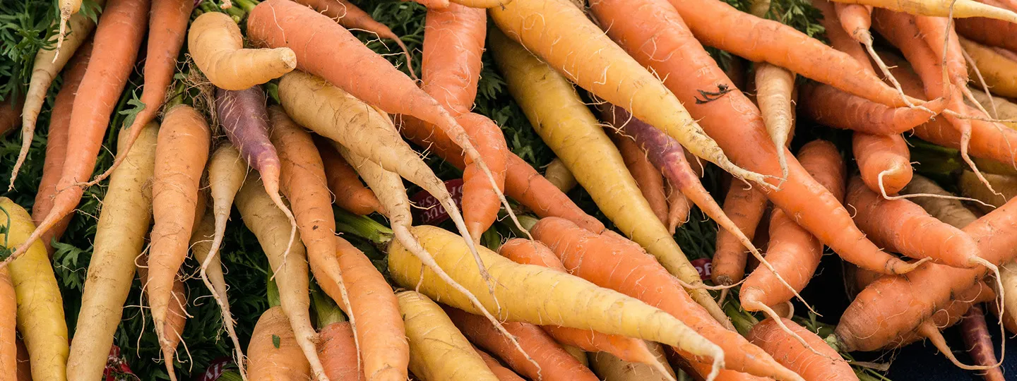 A pile of carrots