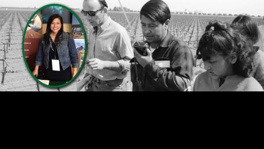 Four people walking in a field of crops with a superimposed photo