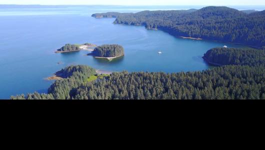 aerial view of lake