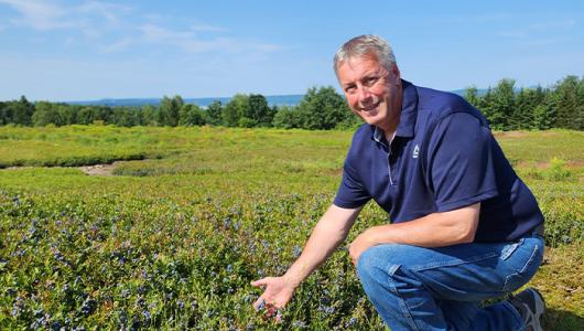 PErson kneeling over crops