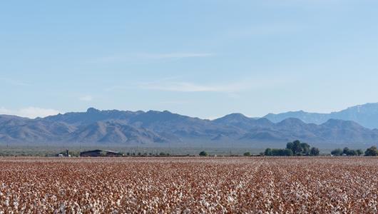 Farm land